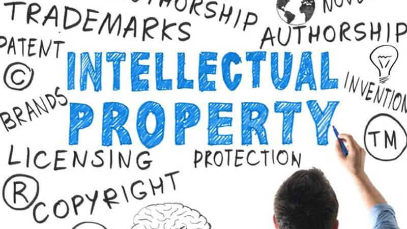 Intellectual Property rights
